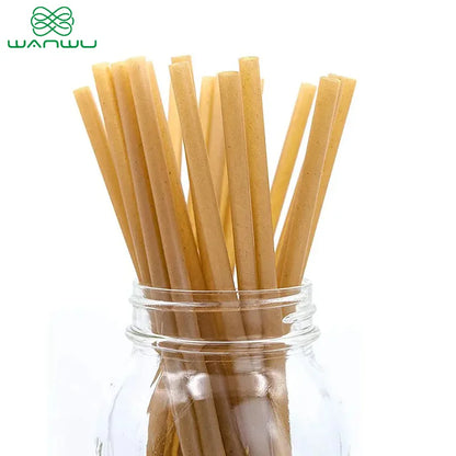 Sugarcane Straws 6mm Natural 100pcs